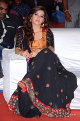 Pantham Audio Release Function